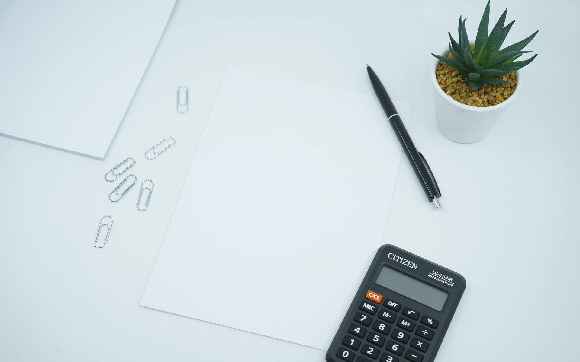purchase order vs invoice